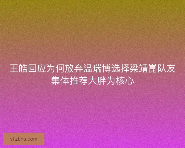 王皓回应为何放弃温瑞博选择梁靖崑队友集体推荐大胖为核心